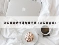 兴安盟网站搭建专业团队（兴安盟官网）
