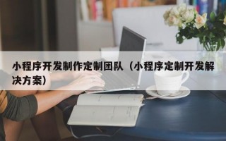 小程序开发制作定制团队（小程序定制开发解决方案）