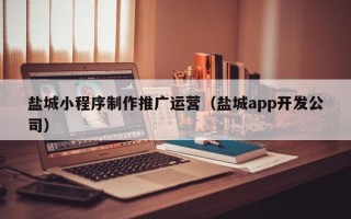 盐城小程序制作推广运营（盐城app开发公司）