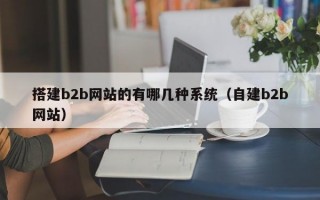 搭建b2b网站的有哪几种系统（自建b2b网站）