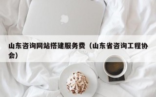 山东咨询网站搭建服务费（山东省咨询工程协会）